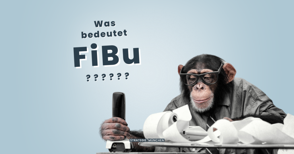 Was bedeutet FiBu?